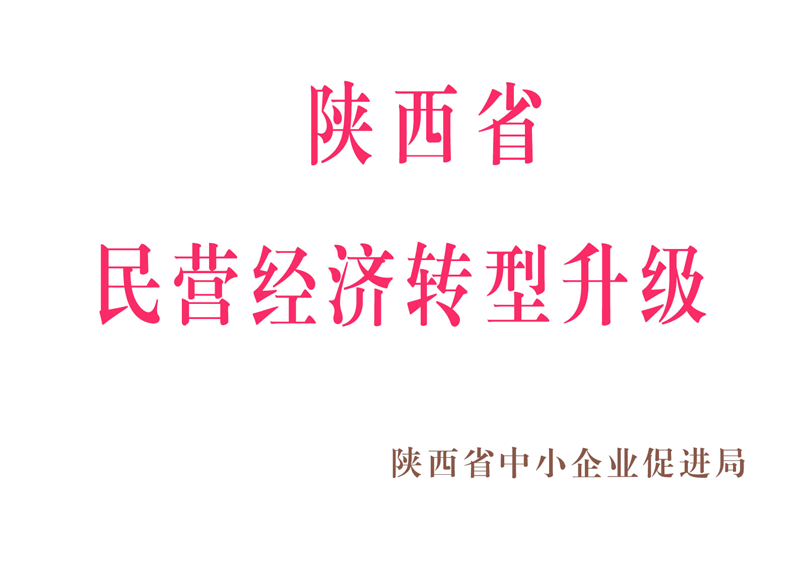 陕西省民营经济转型升级